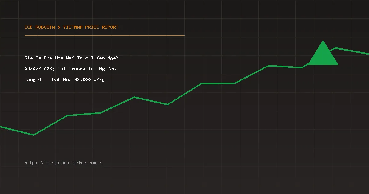 Giá Cà Phê Hôm Nay Trực Tuyến Ngày 04/07/2026: Thị Trường Tây Nguyên Tăng 📈 Đạt Mức 92,900 đ/kg