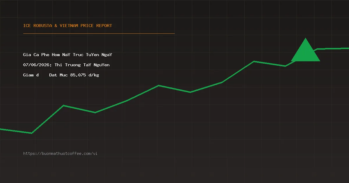 Giá Cà Phê Hôm Nay Trực Tuyến Ngày 07/06/2026: Thị Trường Tây Nguyên Giảm 📉 Đạt Mức 85,075 đ/kg
