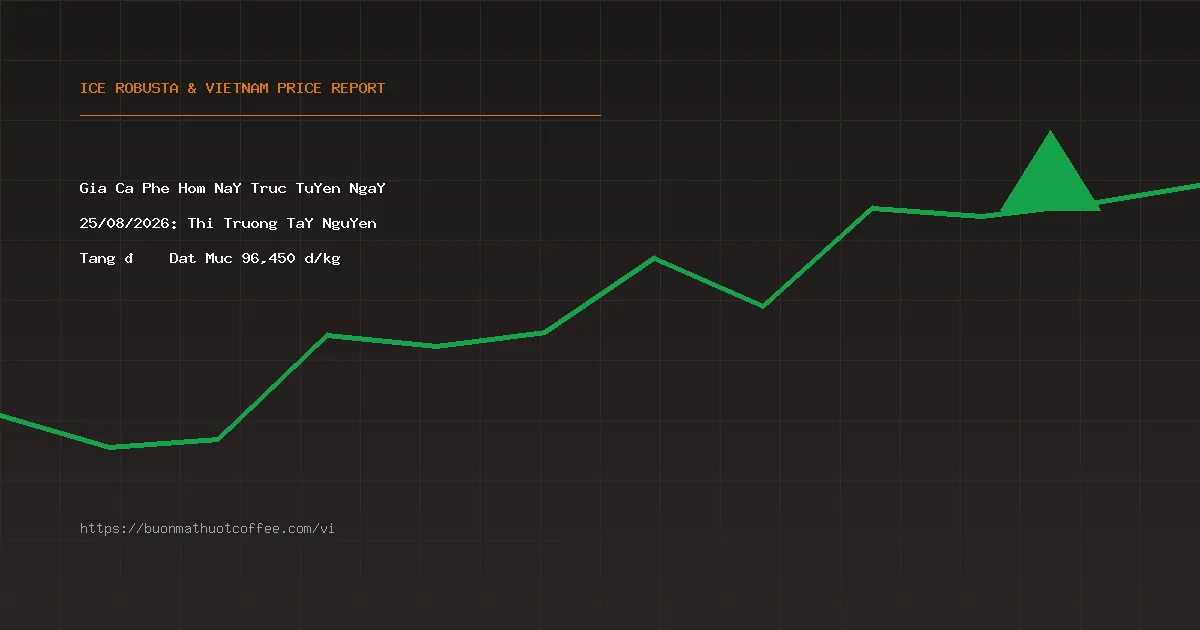 Giá Cà Phê Hôm Nay Trực Tuyến Ngày 25/08/2026: Thị Trường Tây Nguyên Tăng 📈 Đạt Mức 96,450 đ/kg
