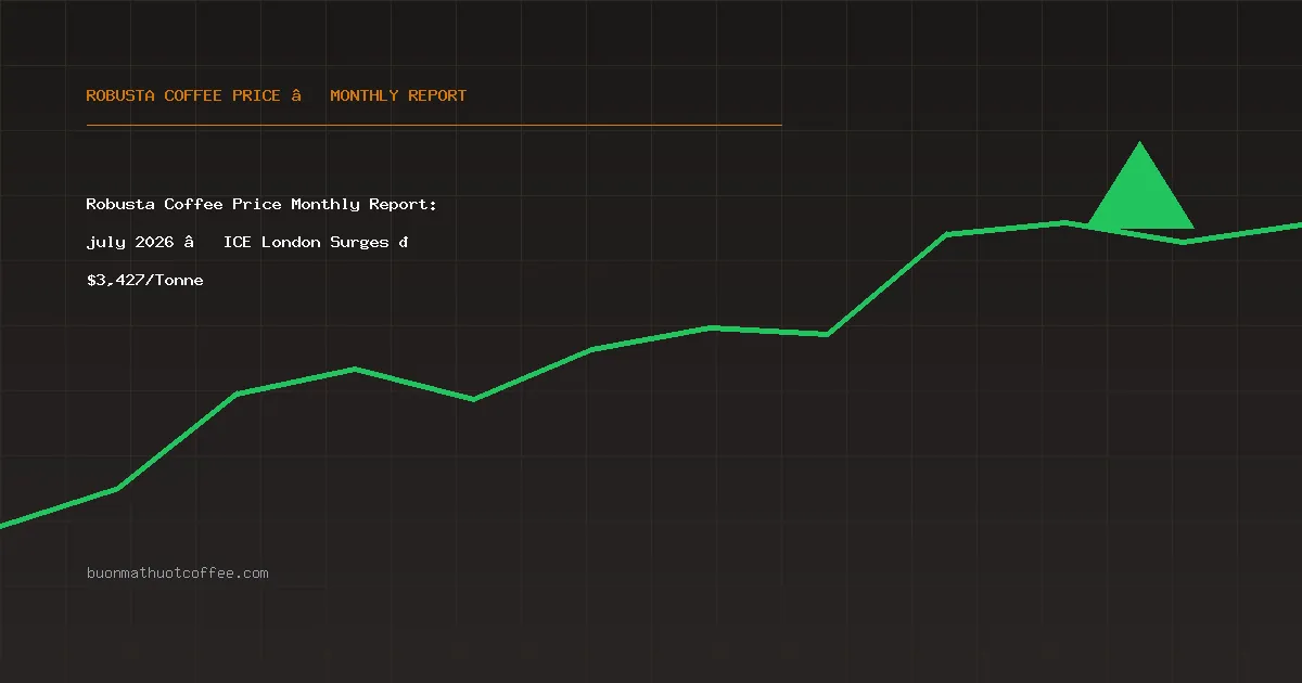 Robusta Coffee Price Monthly Report: july 2026 – ICE London Surges 📈 $3,427/Tonne