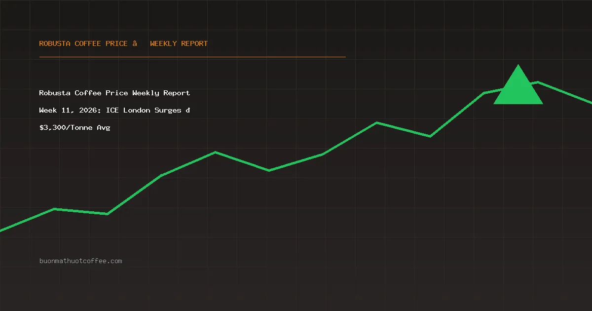 Robusta Coffee Price Weekly Report Week 11, 2026: ICE London Surges 📈 $3,430/Tonne Avg