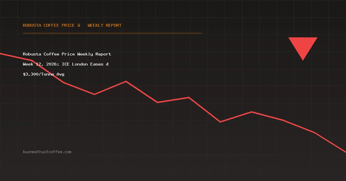 Robusta Coffee Price Weekly Report Week 12, 2026: ICE London Surges 📈 $3,458/Tonne Avg