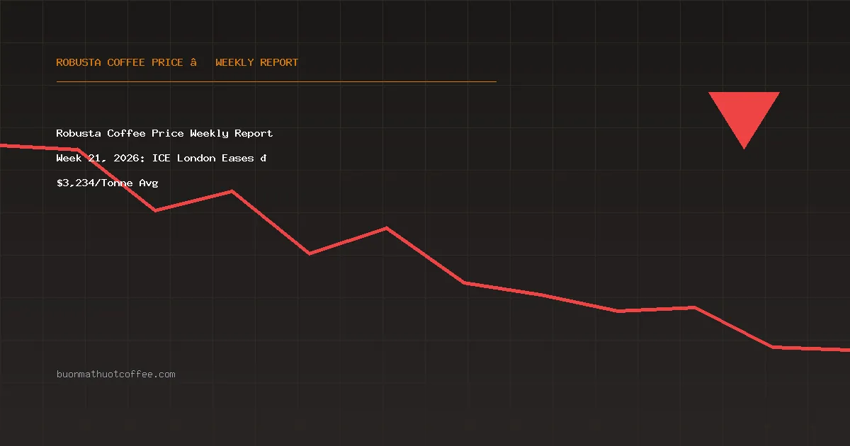 Robusta Coffee Price Weekly Report Week 21, 2026: ICE London Surges 📈 $3,428/Tonne Avg