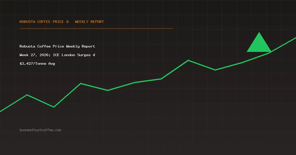 Robusta Coffee Price Weekly Report Week 27, 2026: ICE London Surges 📈 $3,427/Tonne Avg