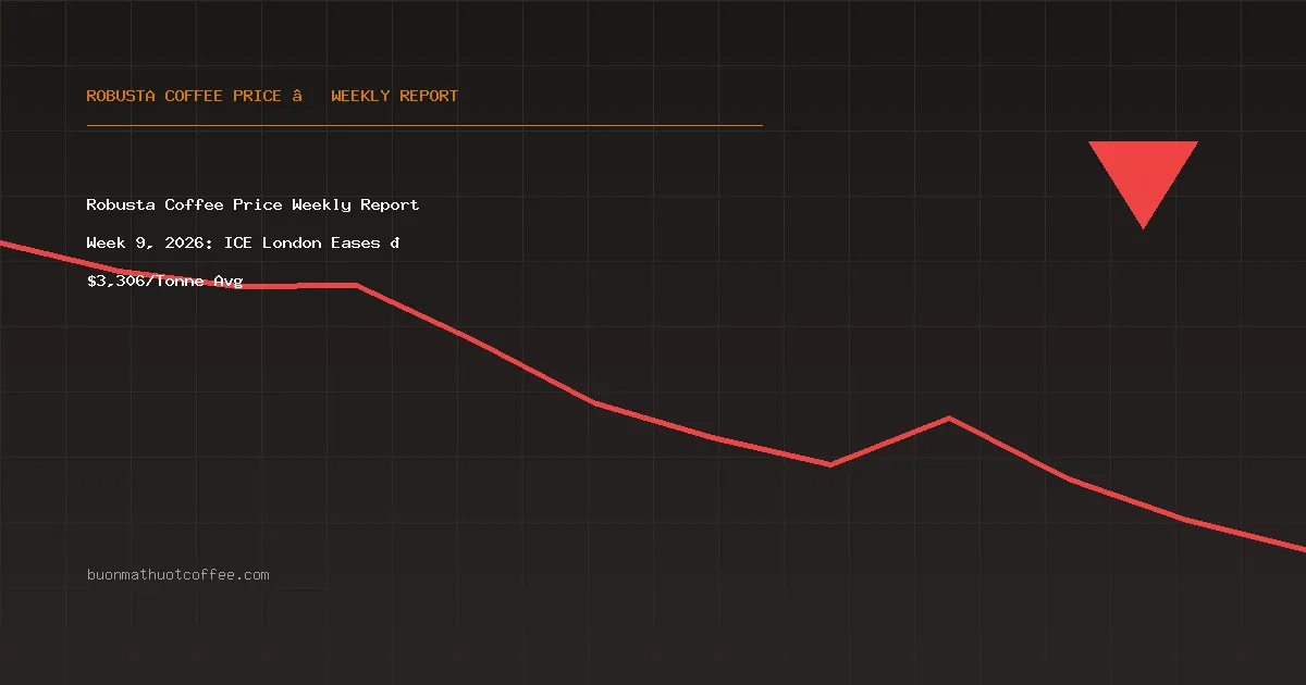 Robusta Coffee Price Weekly Report Week 9, 2026: ICE London Surges 📈 $3,360/Tonne Avg